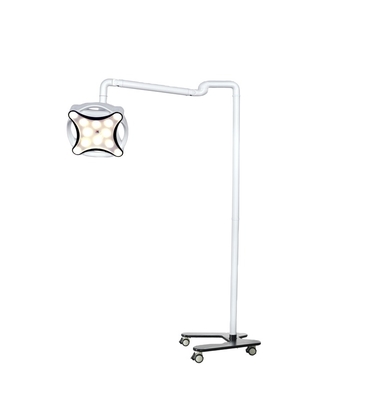 Hospital beauty salon /clinic new arrival 24W LED mobile surgical operation lamp for oral therapy equipments
